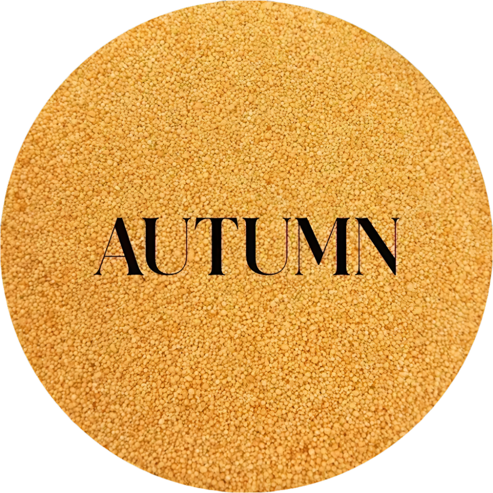 Premium Candle Beads - Autumn